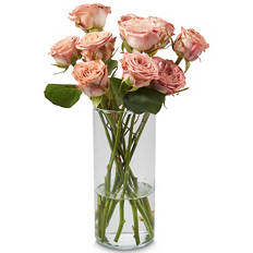 Roses 10 Stem